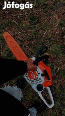 Stihl ms 162