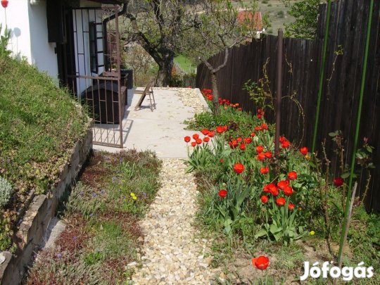 Sukorói eladó 25 nm-es ház