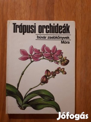 Sulyok Mária: Trópusi orchideák