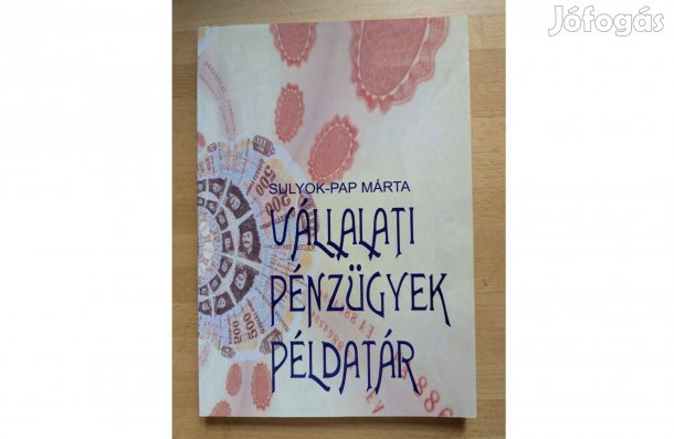 Sulyok-Pap Márta: Vállalati pénzügyek példatár * 1999 * Aula * 159 old