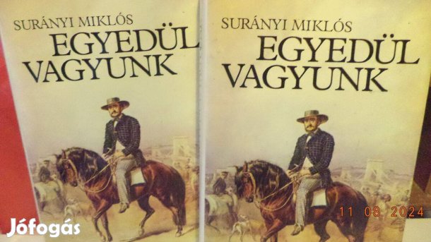 Surányi Miklós: Egyedül vagyunk I - II