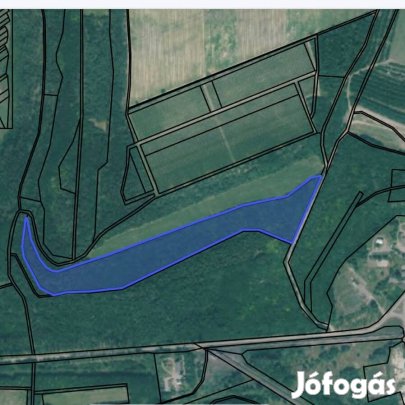 Sürgősen Eladó Erdő Visonta