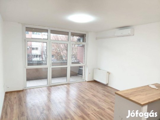 Sürgősen eladó felújított téglalakás a Damjanich Lakóparkban!