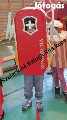 Svájci bicska jelmez