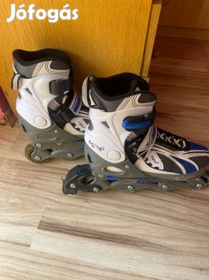 Sygnus fiú görkori 36-39