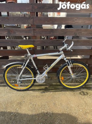 Szabadidő/sport férfi mountain bike