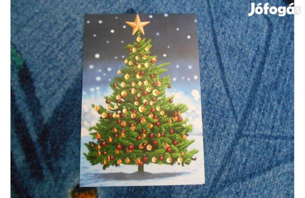 Szájjal és kézzel festett képeslapok 8