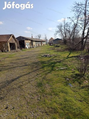 Szajoli asztalos műhely, telephely eladó