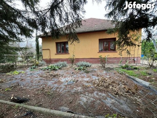 Szalkszentmártoni 90 nm-es ház eladó