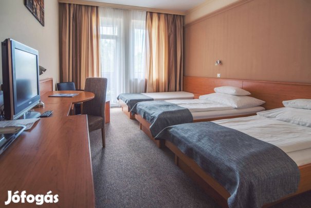 Szállodai bútorzat , berendezések (szekrény ágy éjjeliszszekrény stb.)