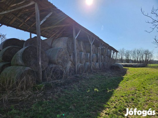 Szalma, széna bála