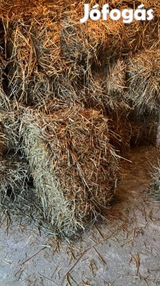 Szalma bála kis kocka bála eladó Győr 2500 Ft_Db