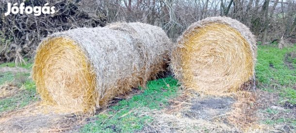 Szalma eladó