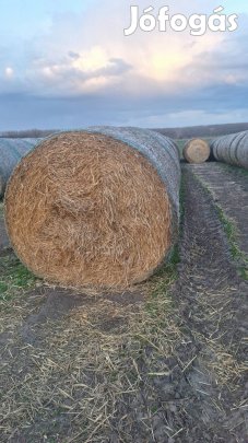 Szalma eladó