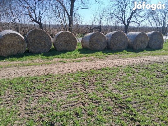 Szalma eladó!!!