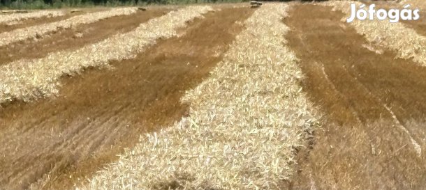 Szalma esőmentes eladó