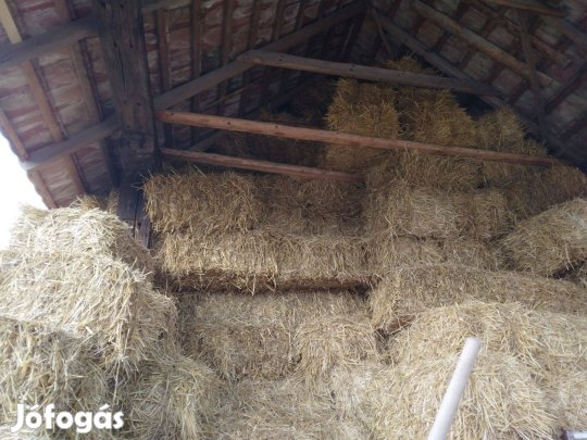 Szalma kisbálás eladó