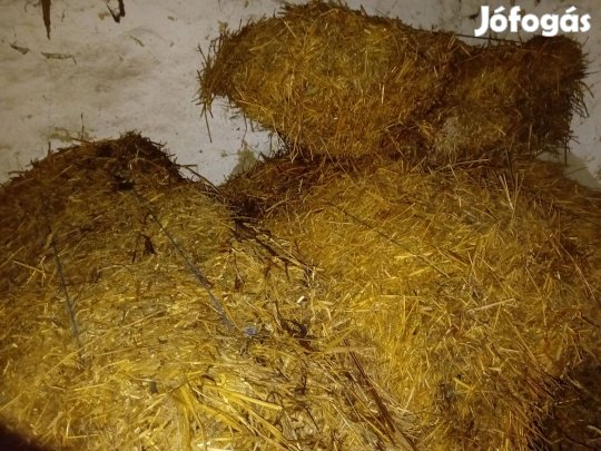 Szalmabála eladó derecskén