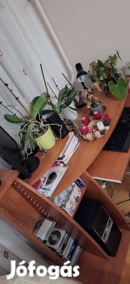Számítógépasztal eladó