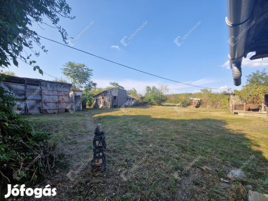 Számtalan különlegessége teszi vonzóbbá...