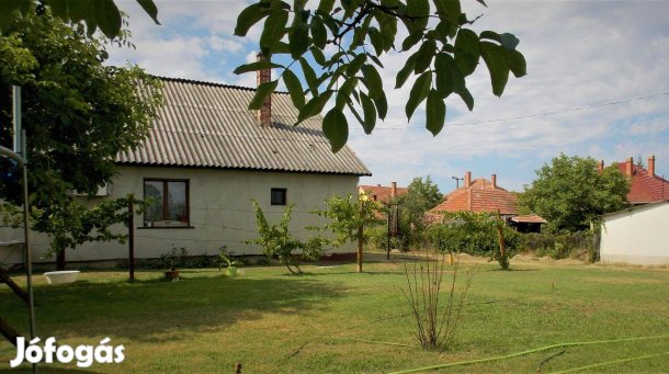 Szank belterületén nagy ház nagy telken eladó