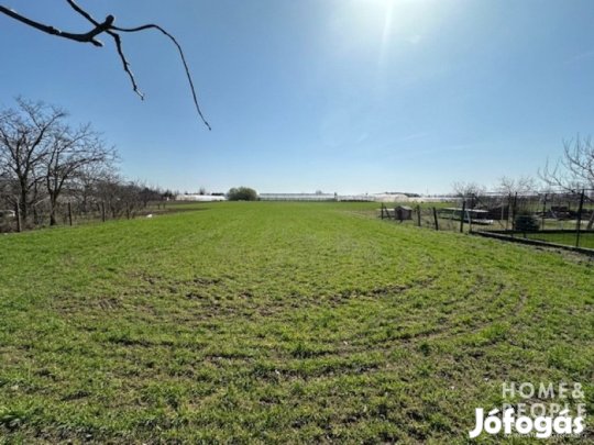 Szántó eladó Csanyteleken!