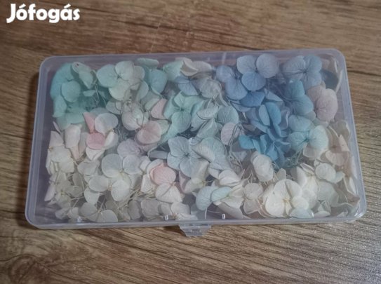 Szárított hortenzia virágfejek Köröm Díszítéshez is Új