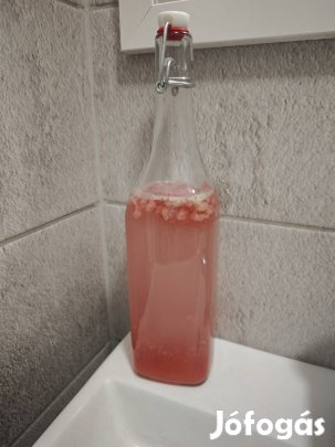 Szárított japán kristálygomba (vízikefír) ingyen posta 