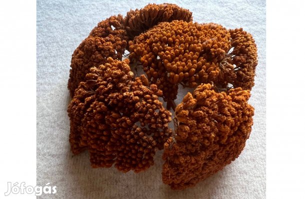 Szárított virágfejek (cickafark)