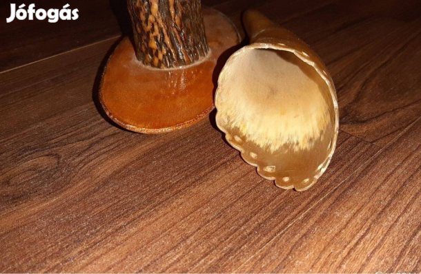 Szaru váza agancs tartón