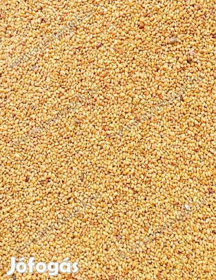 Szarvasi AS-5 fajta fémzárolt lucernamag, lucernamag eladó postázva