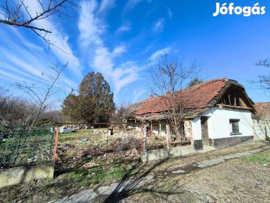 Szarvasi eladó 1393 nm-es telek