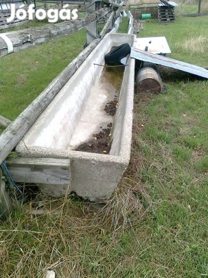 Szarvasmarha Juh itató vályú