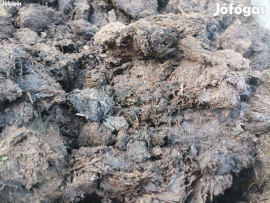 Szarvasmarha Trágya Rendelhető Házhoz!