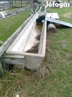 Szarvasmarha etető itató vályu