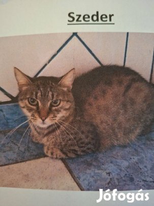 Szederke 2 éves