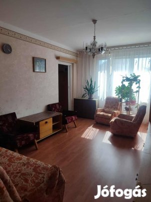 Szeged Panel III.liftes 68 nm loggia erkélyes csendes zöldkörnyezet..