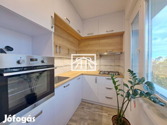 Szeged, Szamos utcai, 60 m2-es panellakás kiadó