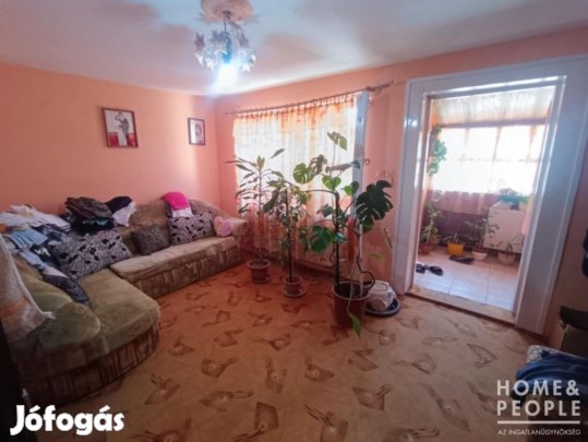 Szegeden kis lakás kis telekkel eladó!