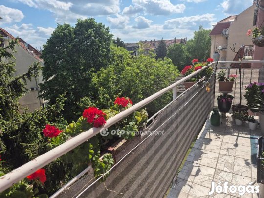 Szegedi 82 nm-es lakás eladó