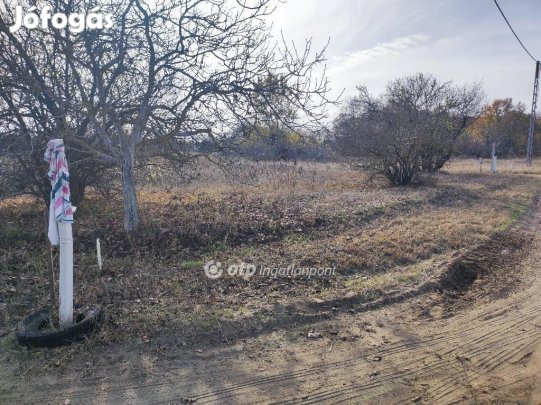 Szegedi eladó 2620 nm-es telek