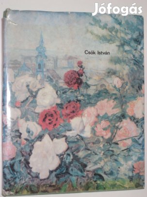 Székely András Csók István