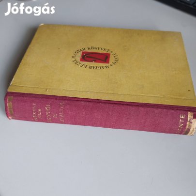 Székely Julia Ágytól és asztaltól Magyar kézbe magyar könyvet - Dante