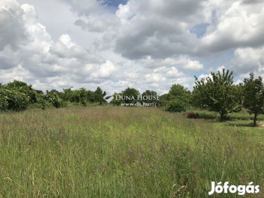 Székesfehérvári 2318 nm-es telek eladó