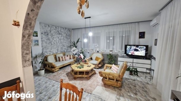 Székesfehérvári 280 nm-es ház eladó