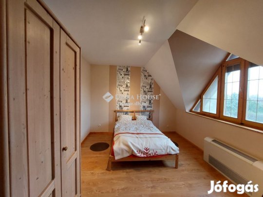 Székesfehérvári 350 nm-es ház eladó