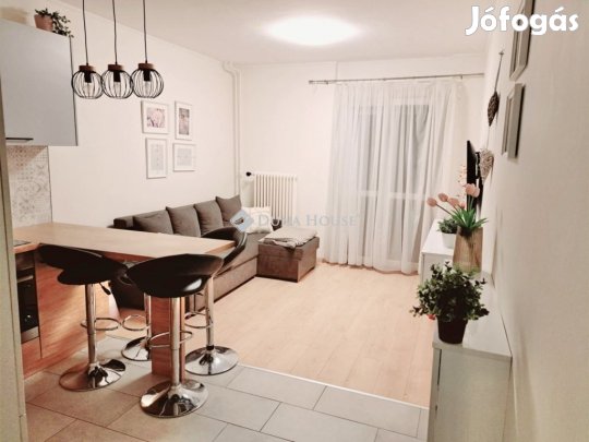 Székesfehérvári eladó 45 nm-es lakás