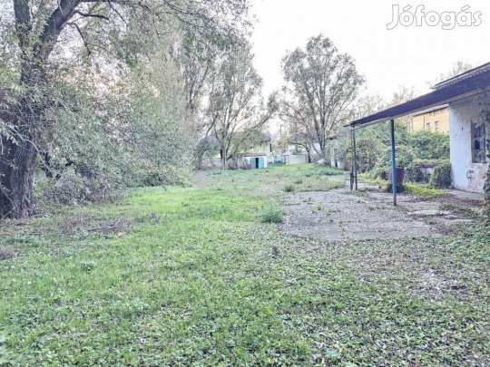 Székesfehérvári eladó 559 nm-es ház