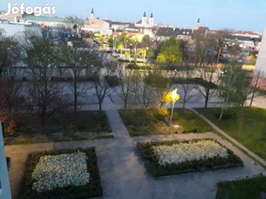 Székesfehérváron, Palotavárosban 55nm-es lakás eladó