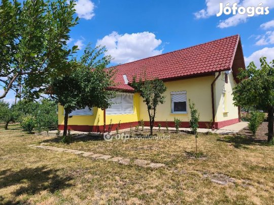 Székkutasi 80 nm-es ház eladó